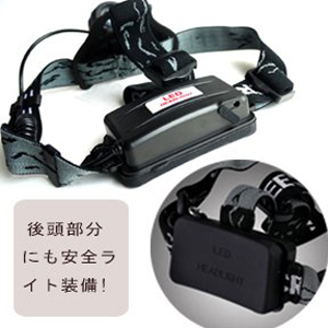 HL80IMG4.jpg