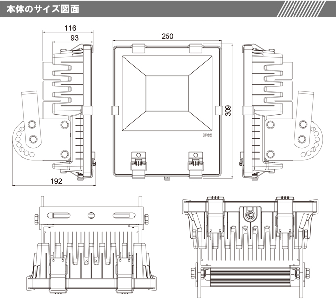 JP100WIMG5.jpg