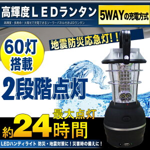 LS60IMG10.jpg