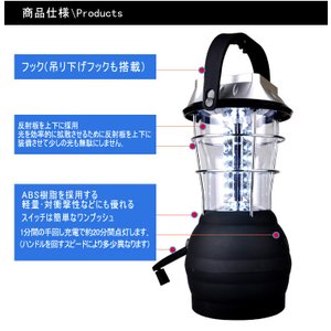 LS60IMG11.jpg
